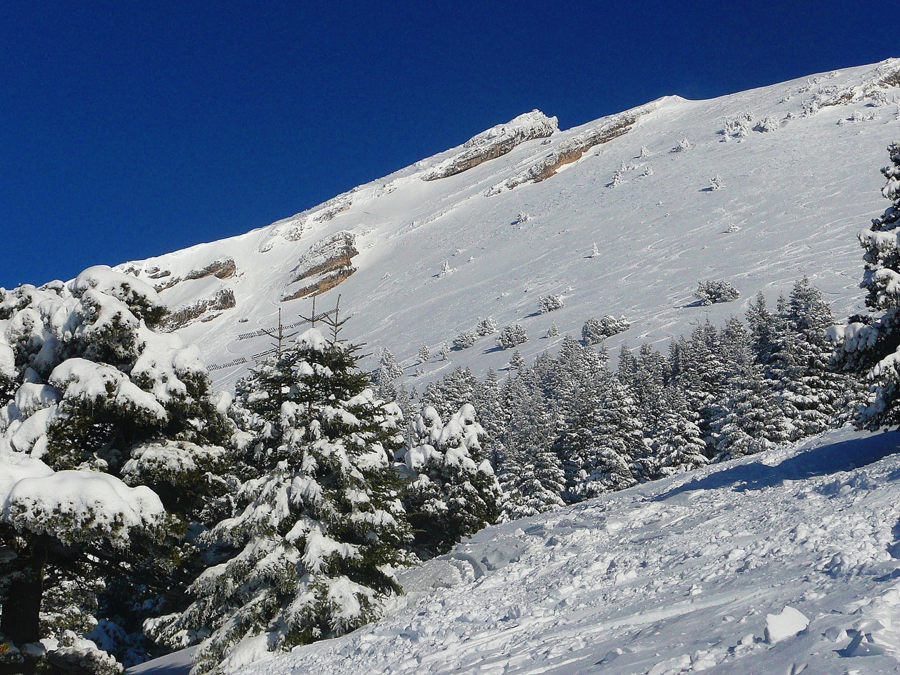 La prairie. Dommage que cette photo ne date pas d'aujourd'hui, là il y avait de la neige