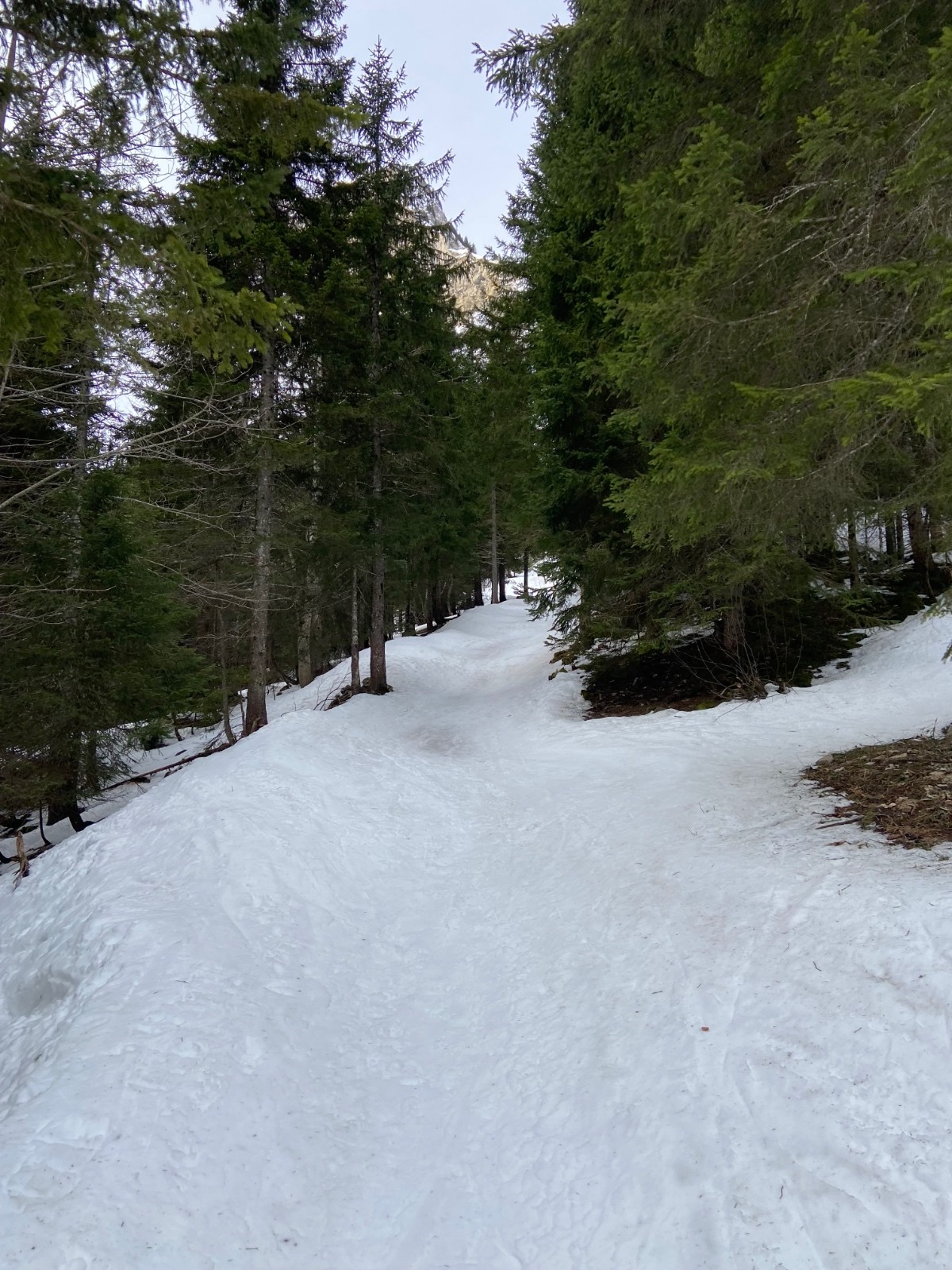 Chemin de montée