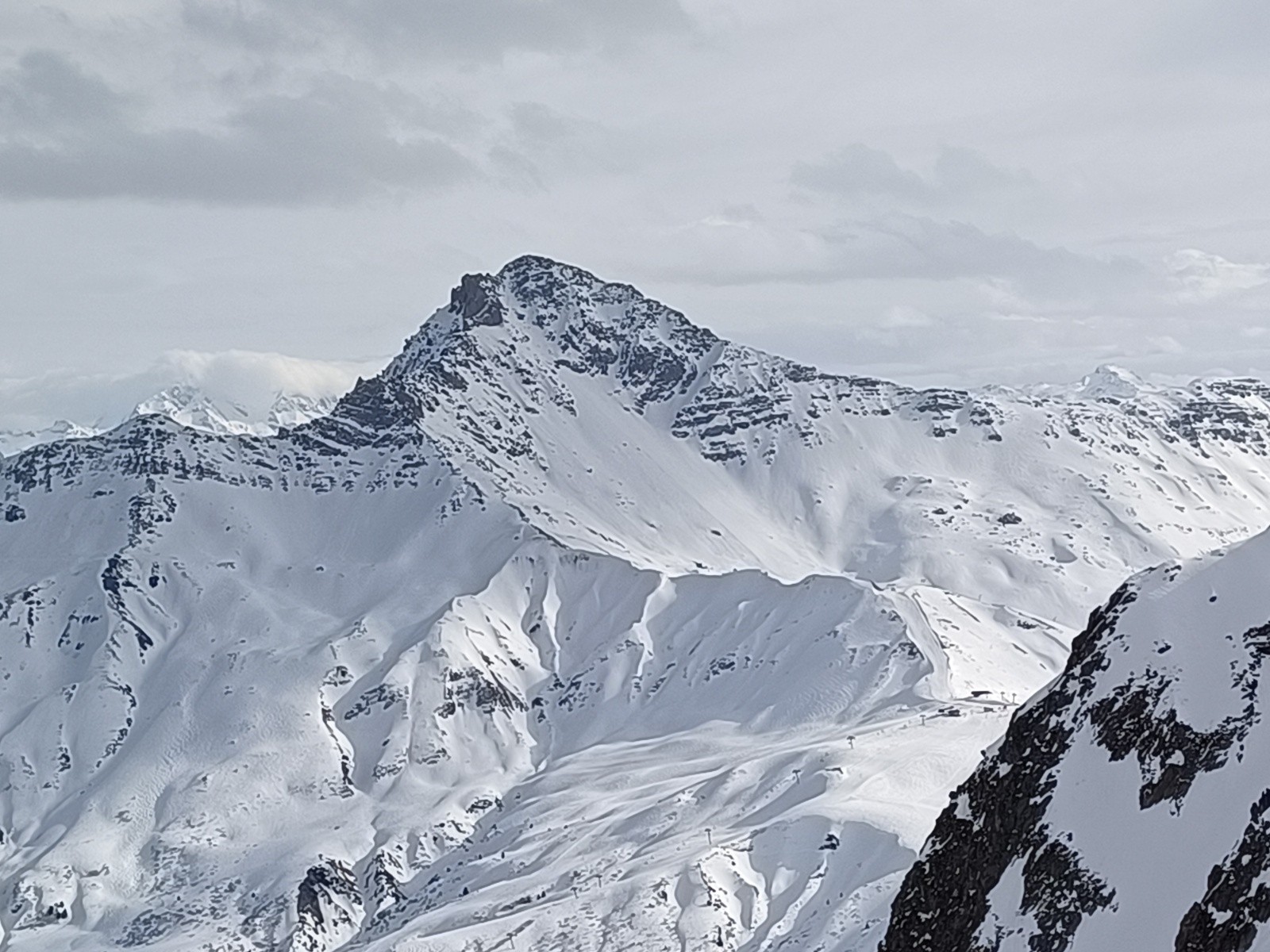 #36 Cheval Noir Cheval Noir