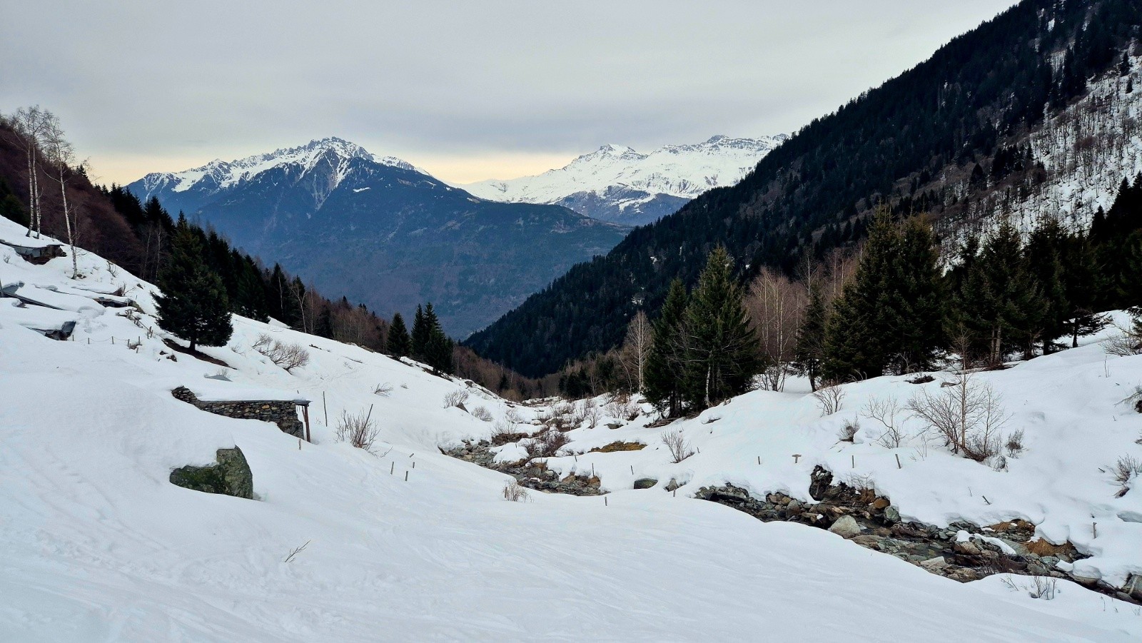  Au-dessus de la forêt. Vue vers la Lauziere