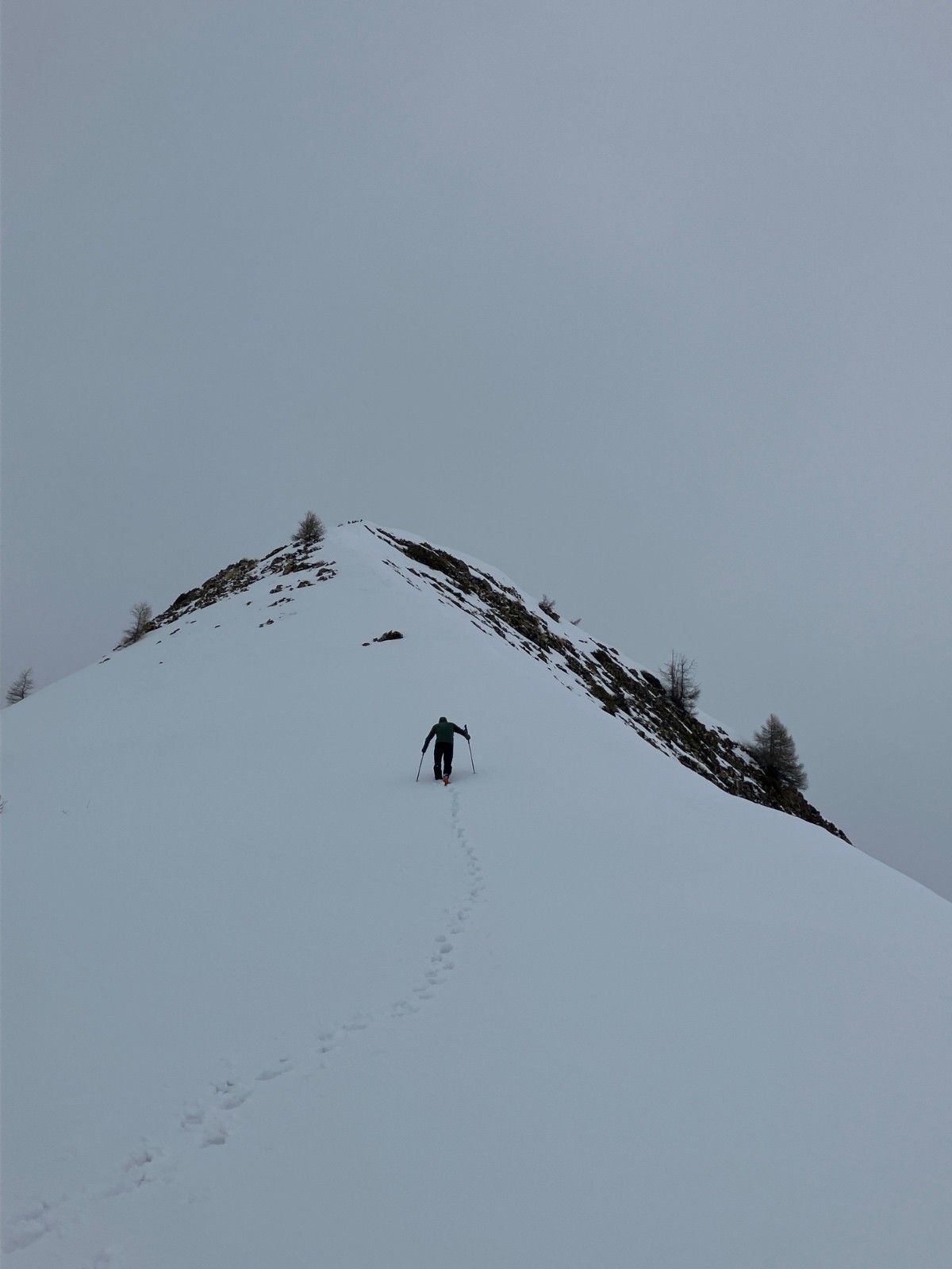 Bastien s’est fait un petit sommet (pointe de la Pourrachiere) pour digéré le Piolit (non fait) 🥲