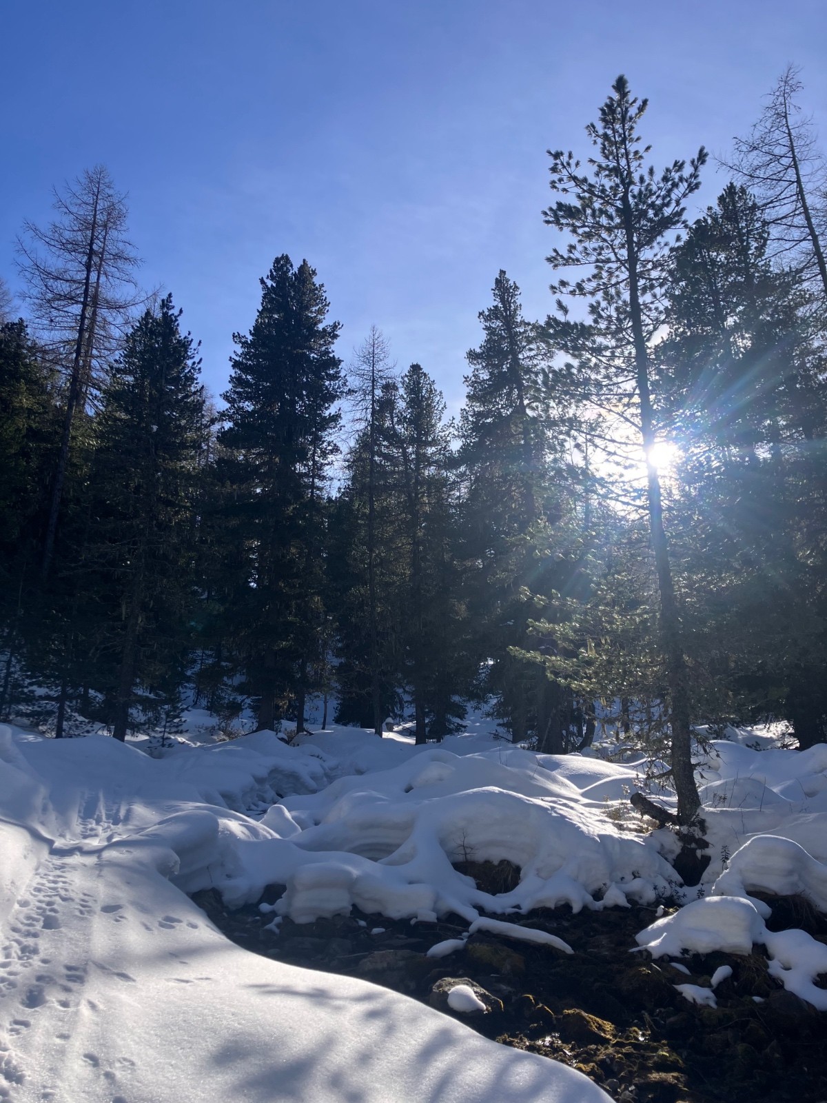 Sur le bas de l’itinéraire 