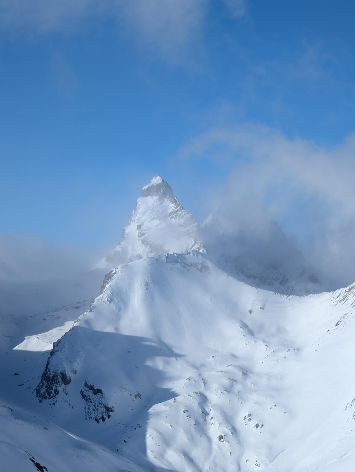 Une aiguille qui se cache à notre vue, une qui frime