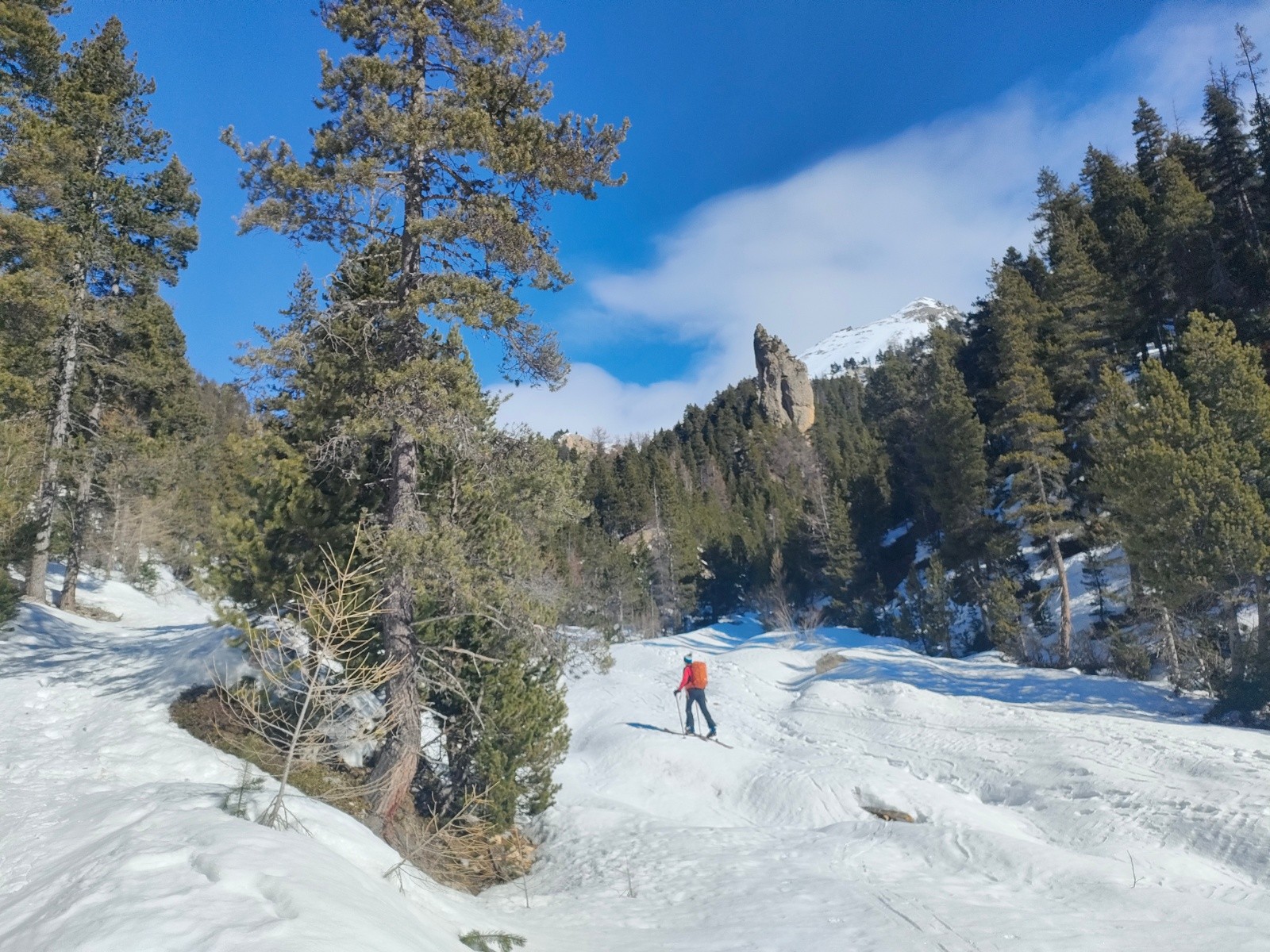 Toujours dans le vallon en dessous de la demoiselle coiffée  