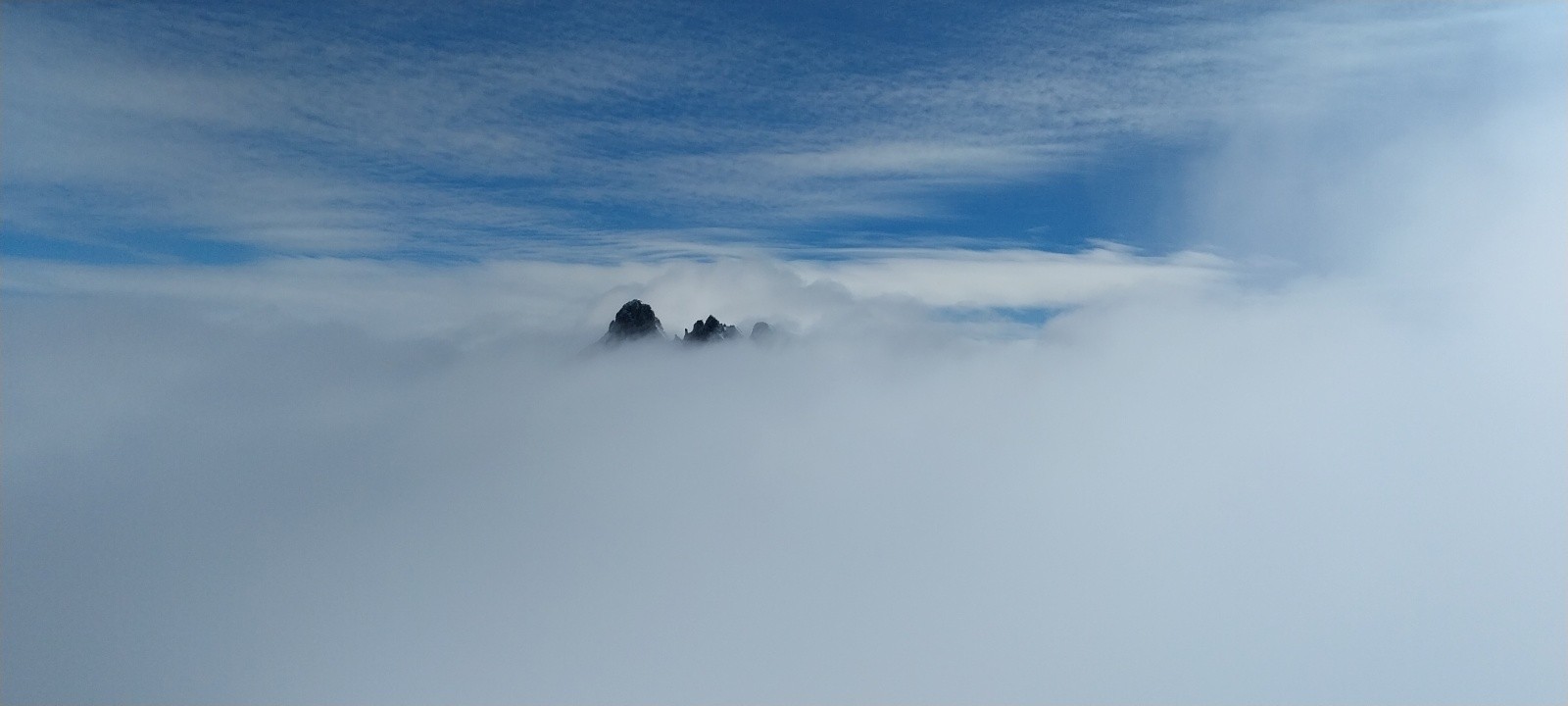 Le grand pic sort le bout de son nez&nbsp;