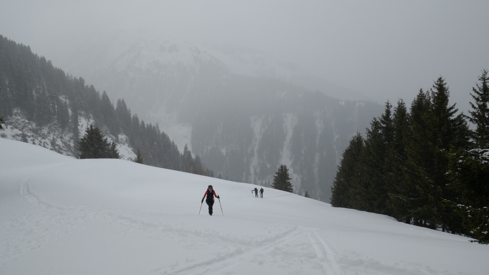 Debut sous la neige