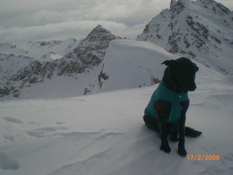 #4 vue de la crête : Bon, les gars, on y va ! Il commence à faire un temps de chien ici.
La pyramide parfaite de derrière : le Grand Peygu. vue de la crête : Bon, les gars, on y va ! Il commence à faire un temps de chien ici.
La pyramide parfaite de derrière : le Grand Peygu.