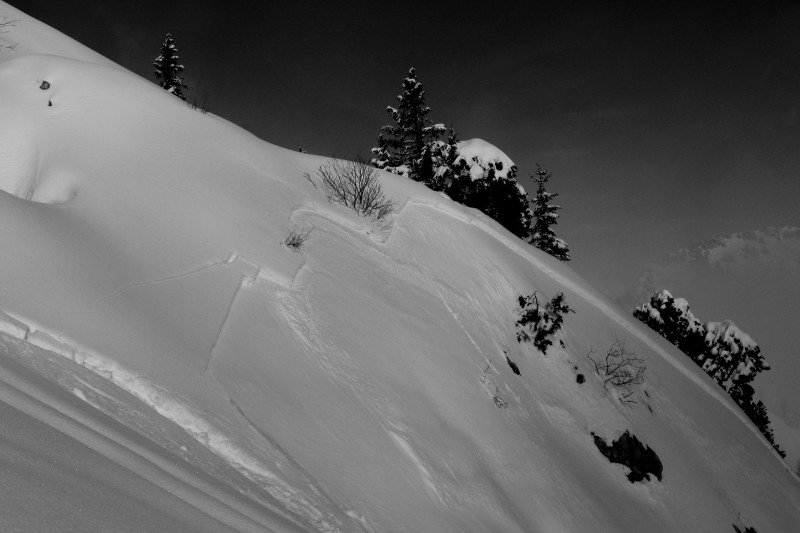 Talamarche : les pentes finales plaquées, pourtant ce n'est pas bien raide et il y a pas mal de sapins. Certes les plaques ne sont pas bien importantes mais comme la neige est un peu lourde on peut vite être coincé.