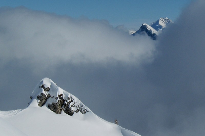 Talamarche : couleur