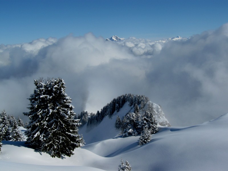 Talamarche : le Crêt des Tervelles