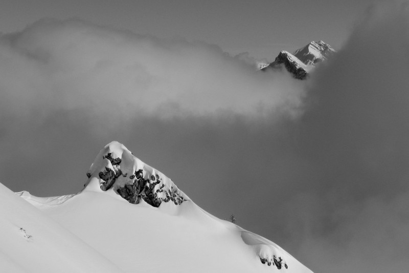 Talamarche : noir et blanc