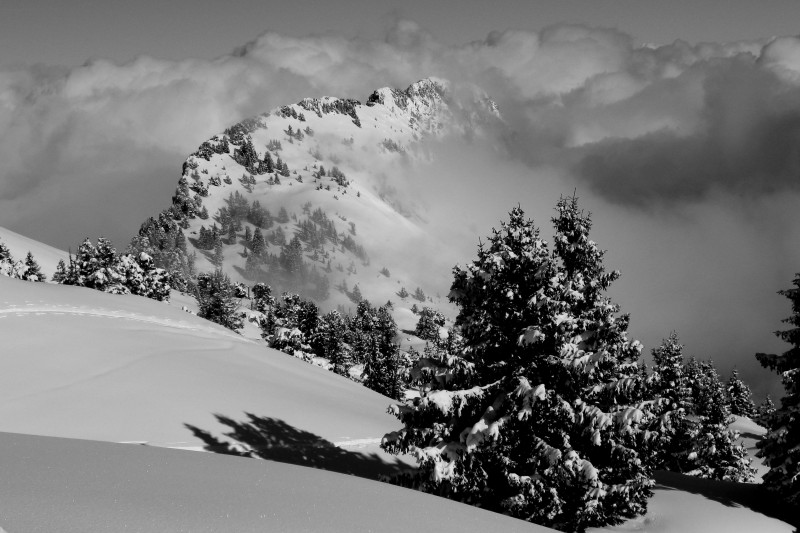 Talamarche : Dent du Cruet