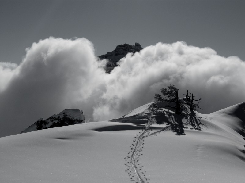 Talamarche : arrivée au sommet : en arrière plan la Tournette