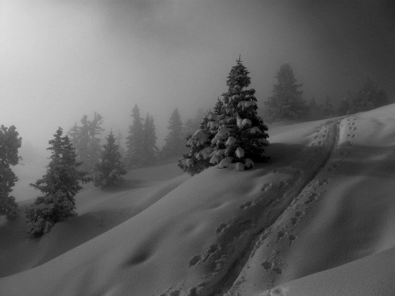 Talamarche : pentes finales