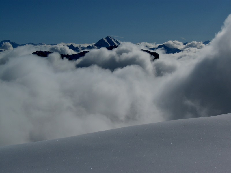 Talamarche : l'île du Charvin