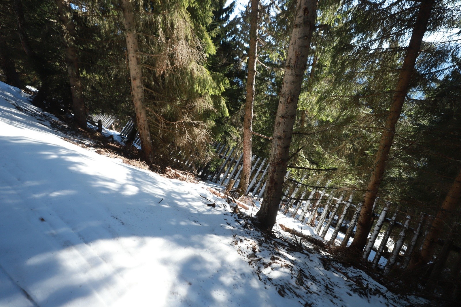  Des paravalanches dans la forêt! Ce genre de structure servira t-elle encore désormais?