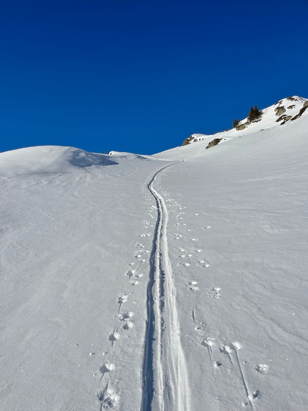 Invitation au voyage&nbsp;