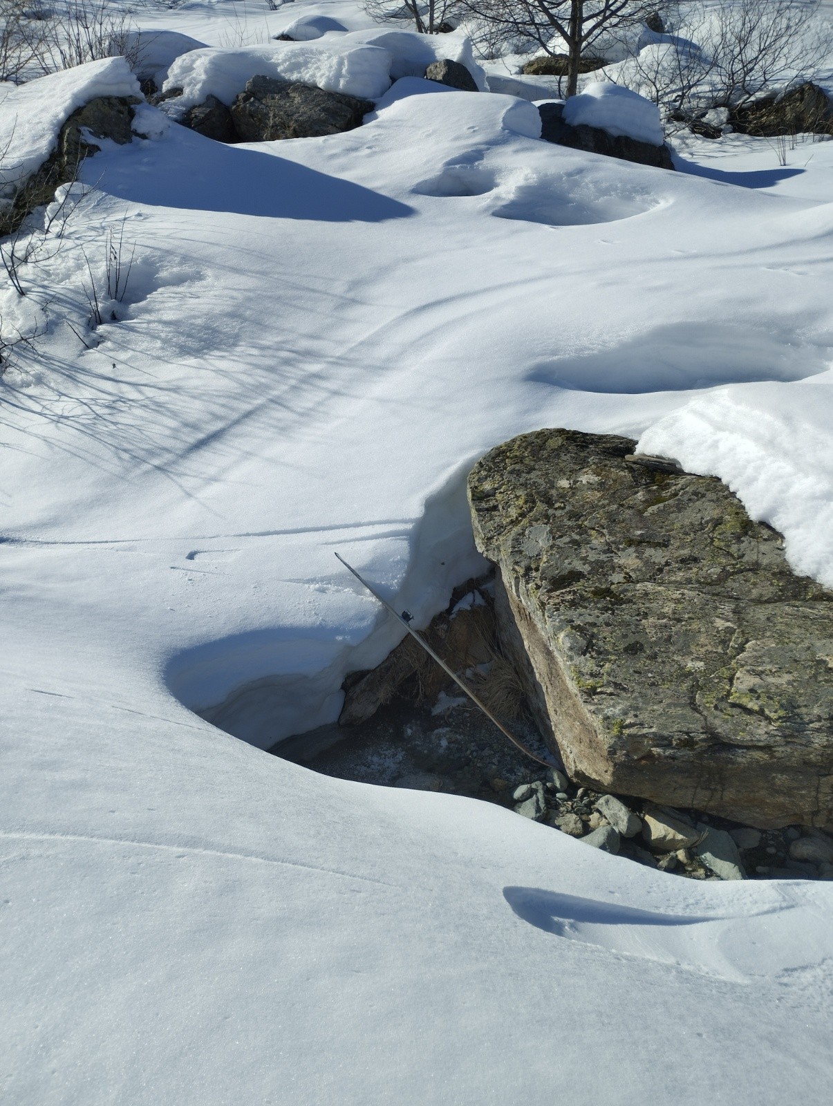 Le fameux ski, peu après le drame