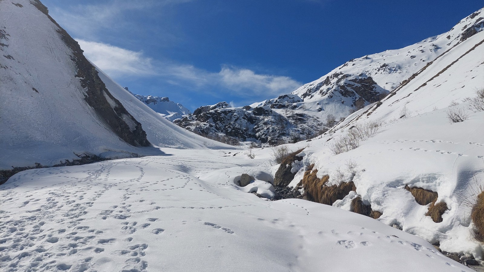 #5 Plein de traces de Mouflons mais pas vu Plein de traces de Mouflons mais pas vu