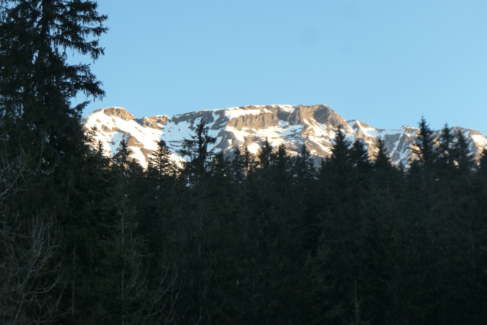 #4 Les Hauts Forts Les Hauts Forts