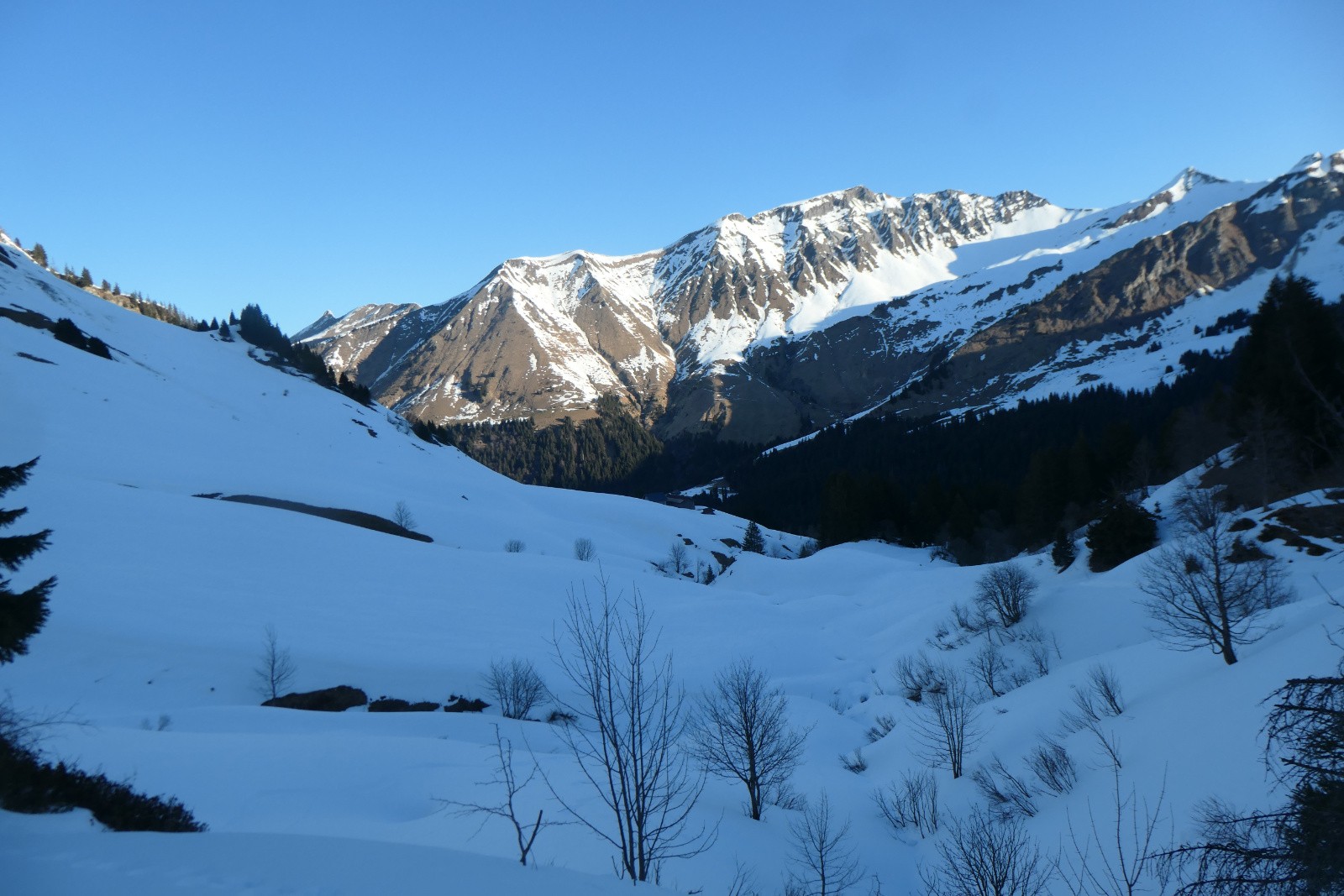 #6 Les Hauts Forts Les Hauts Forts