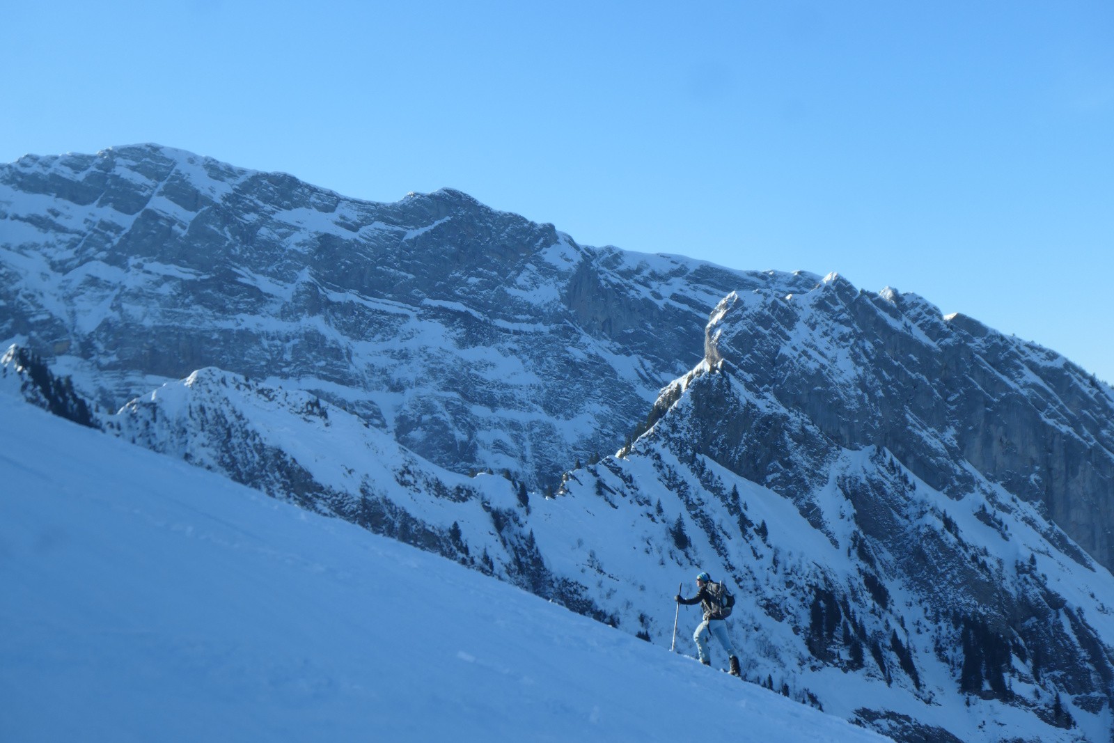 #10 Glad Glad' sur Oddaz