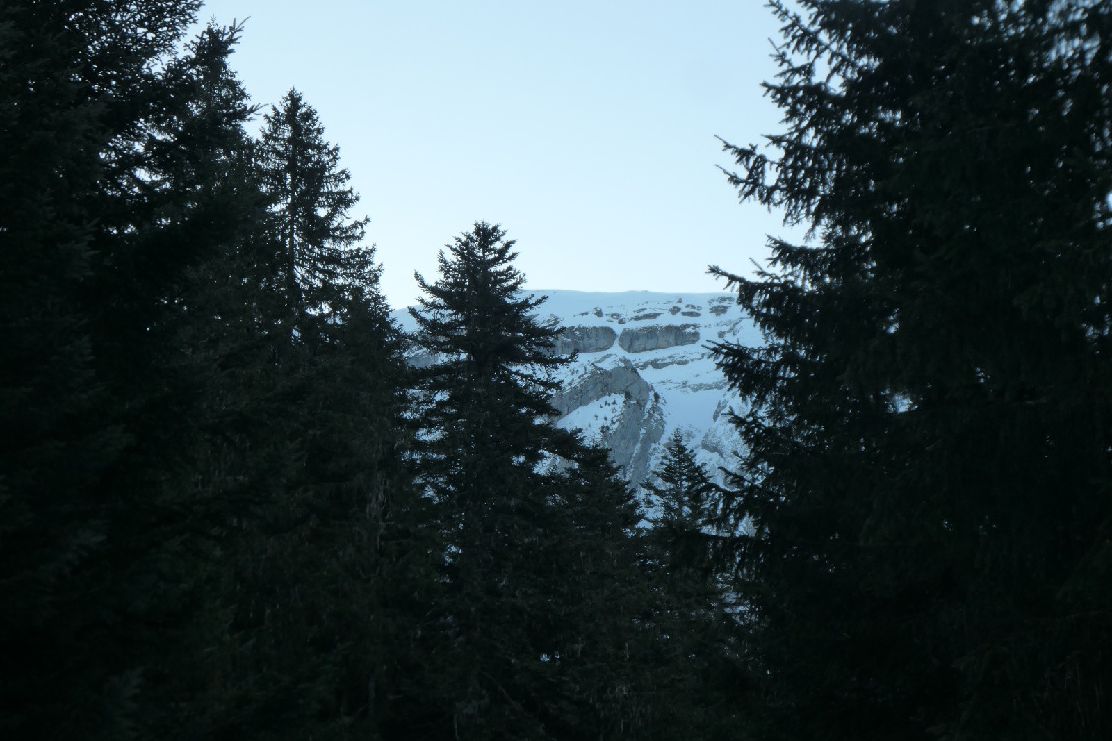 #3 Il se dévoile gentiement Il se dévoile gentiement