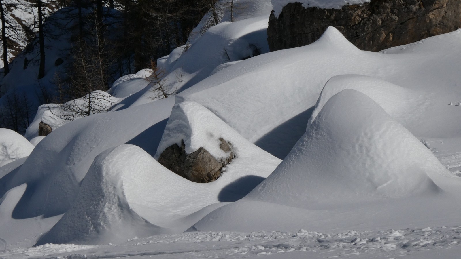 J4 des pénitents blancs