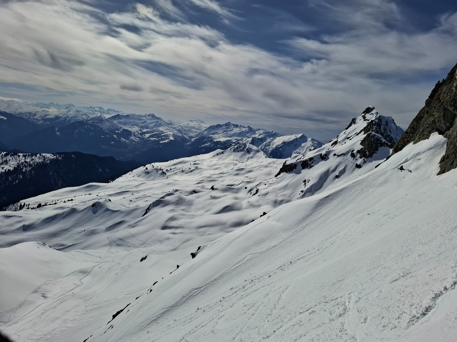 &nbsp; face bonus col 2403&nbsp;