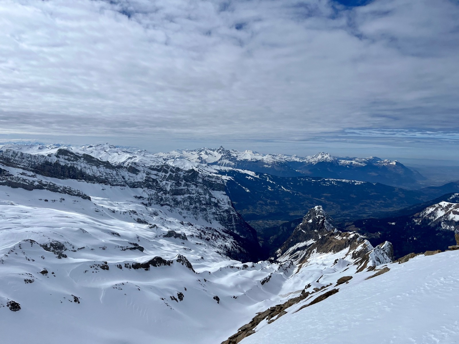  vue sur les champs de vache