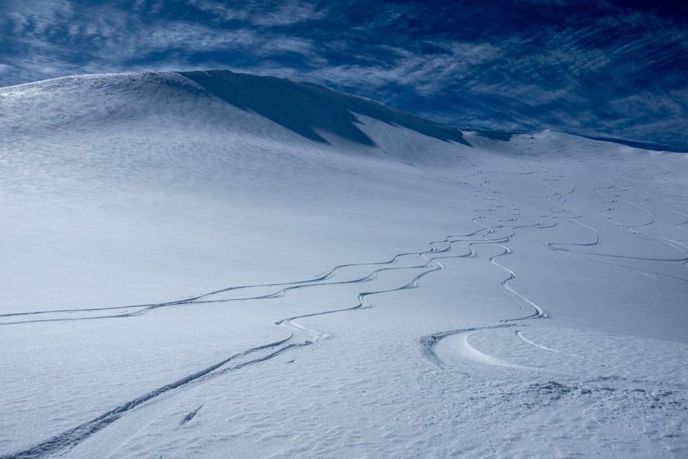en attendant, ici c'est tout poudre