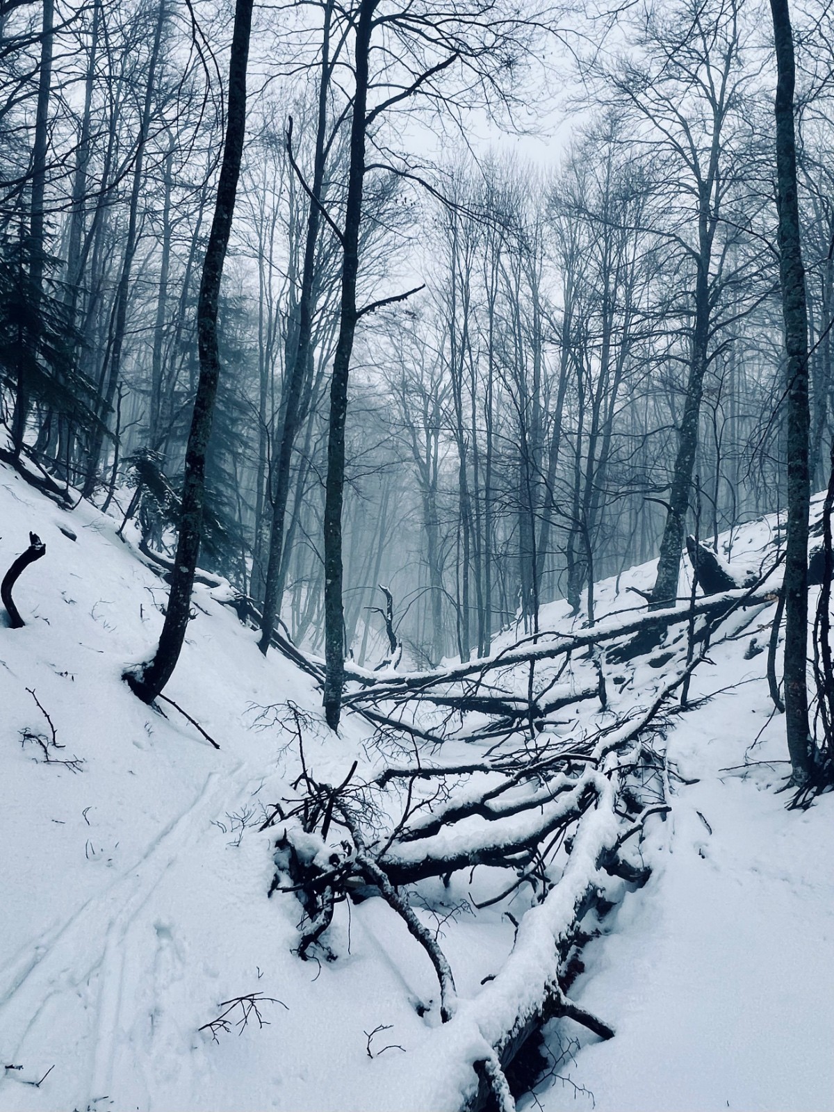 #3 Ravin de l’Uscla Ravin de l’Uscla