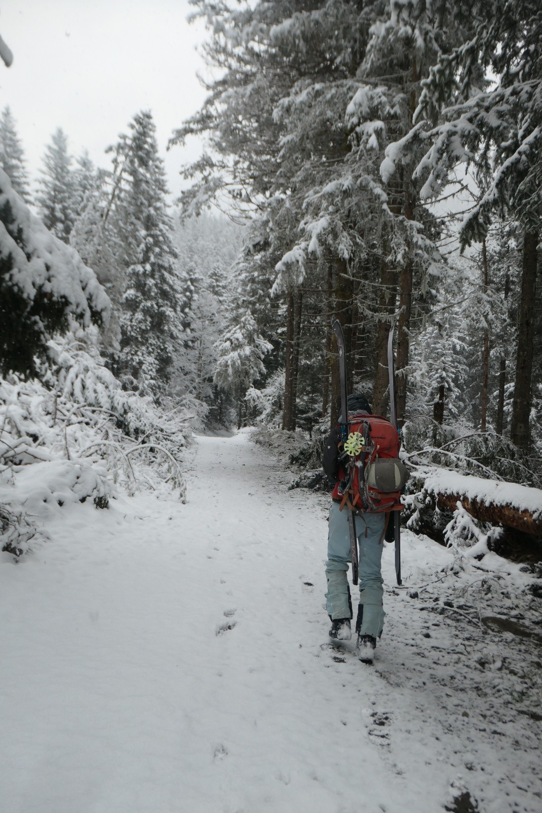 Mais skis sur le sac tout de même&nbsp; 