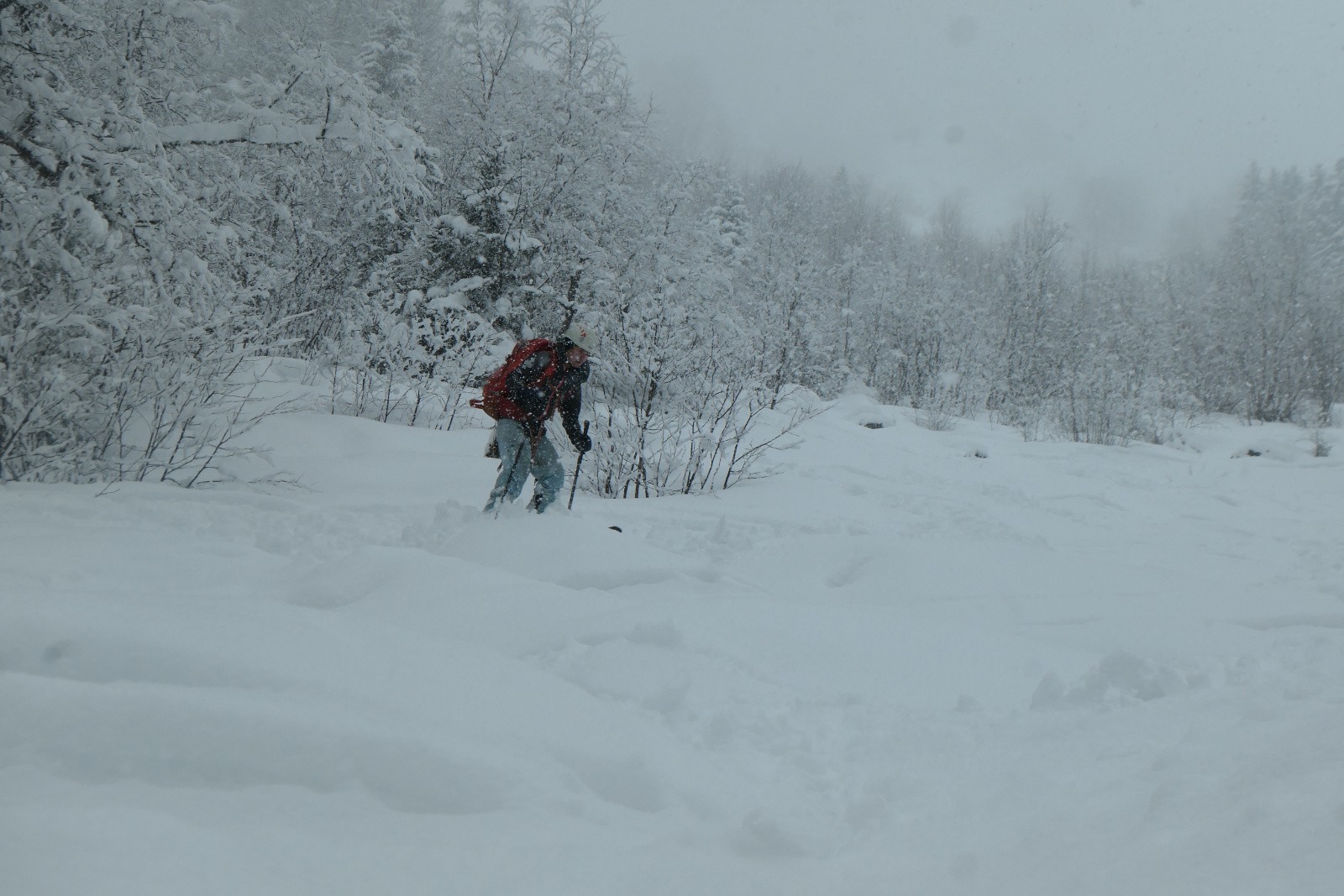 Il a bien neigé dans le secteur 