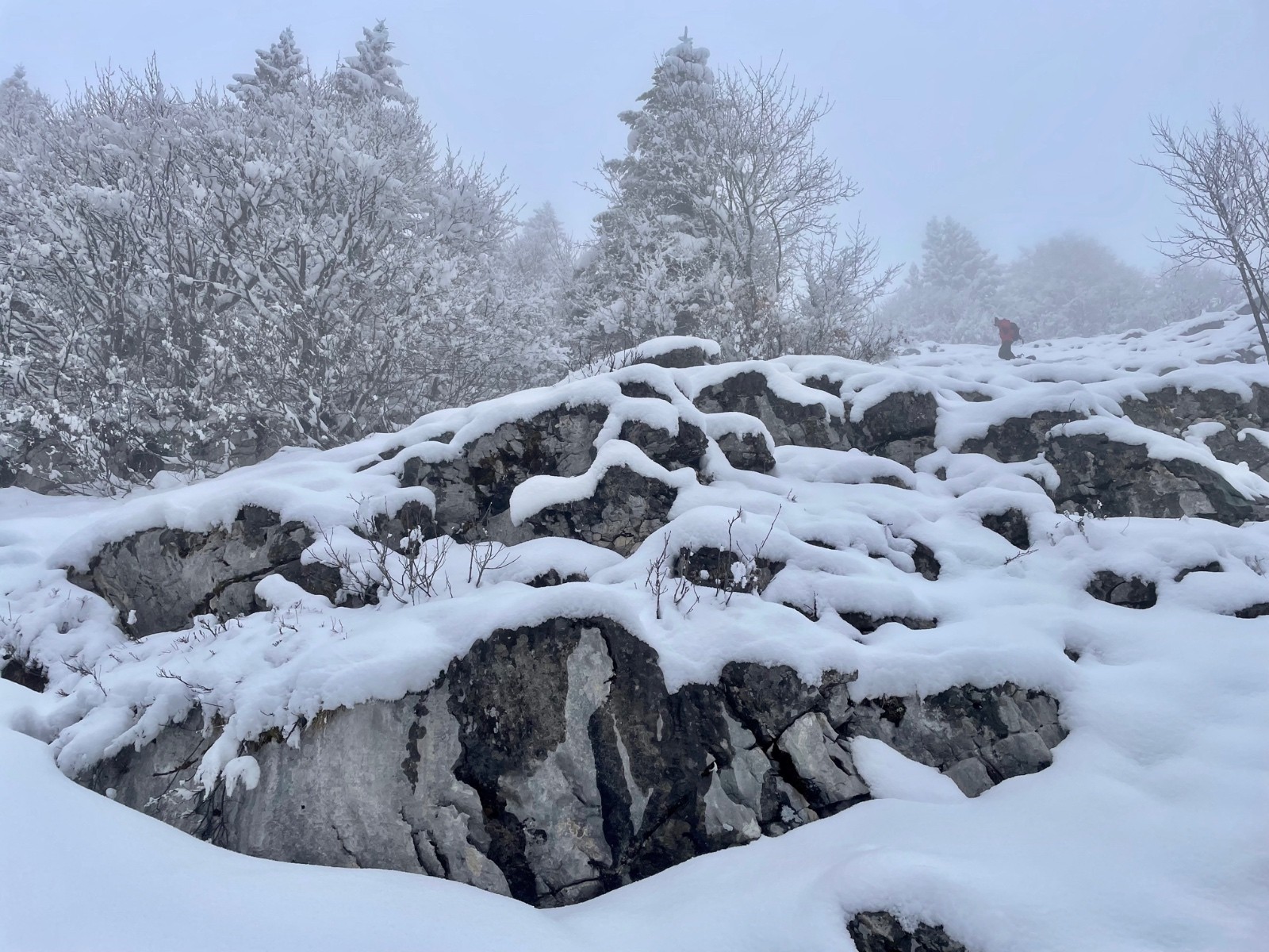 &nbsp;côté Cottaves : ça ne va pas le faire...
