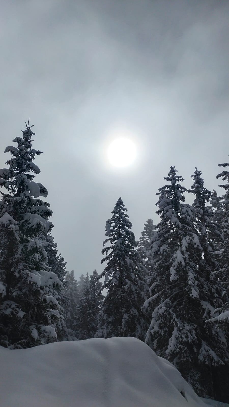 &nbsp;Encore au brouillard