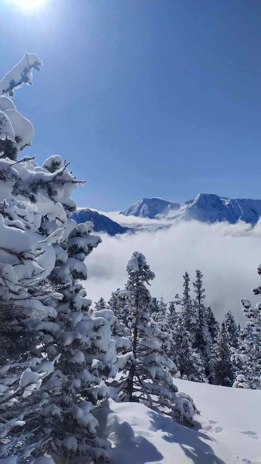 &nbsp;On sort du brouillard