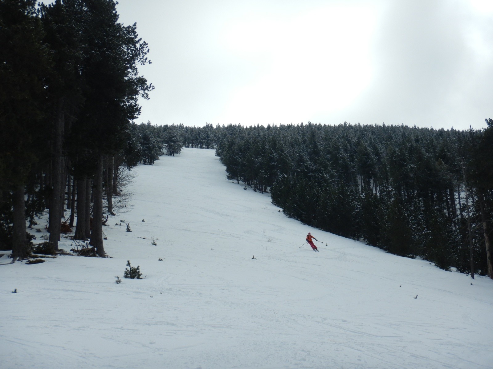 De la bonne neige facile à skier dans la partie nord !