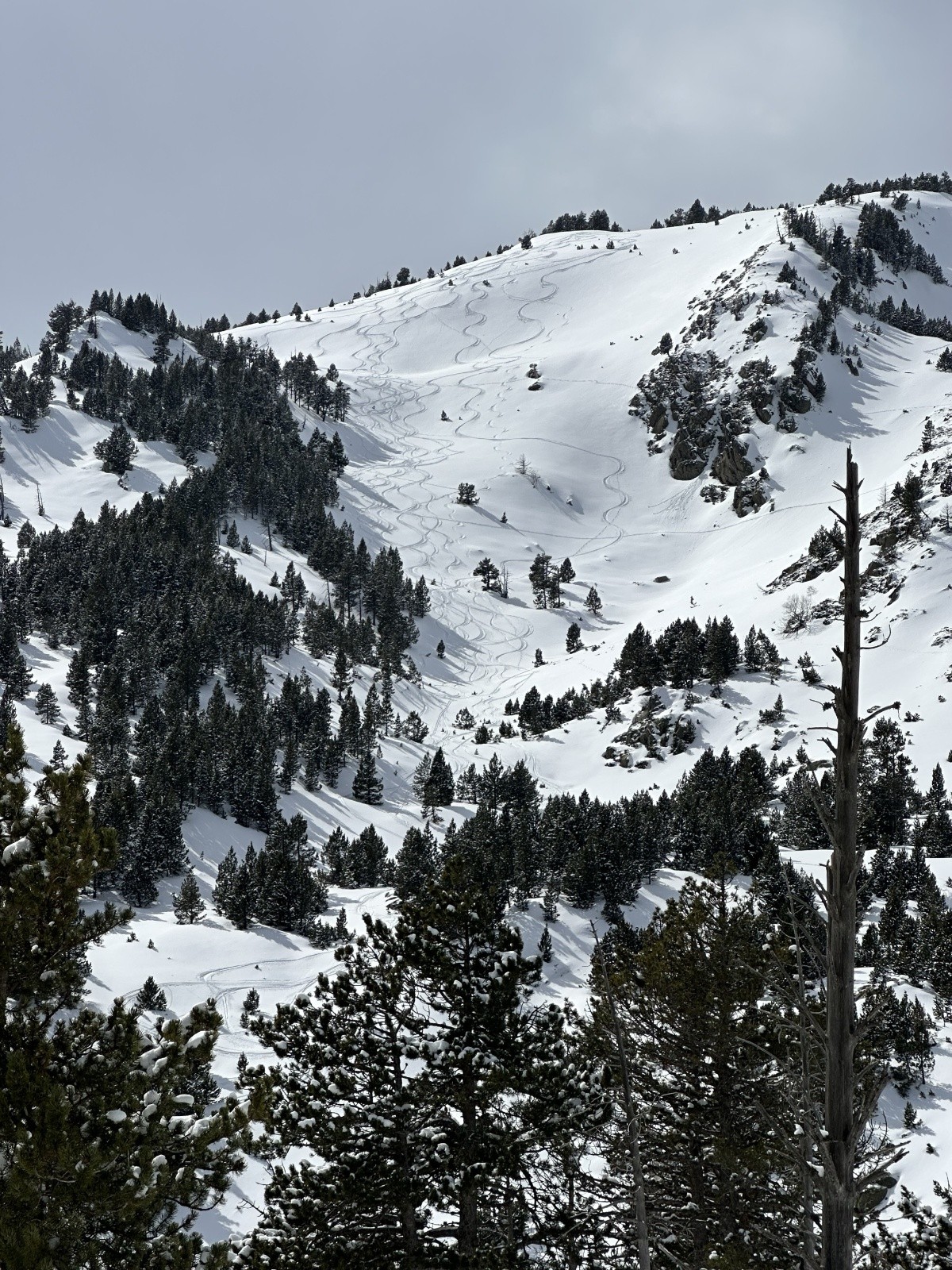 nos traces dans le Clot del Mig