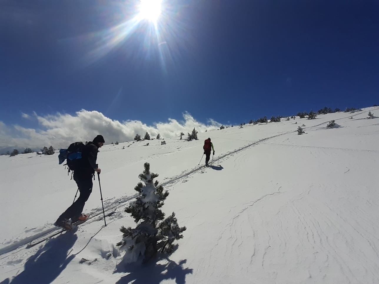 ns montée vers le Puig del Pla de Bernat