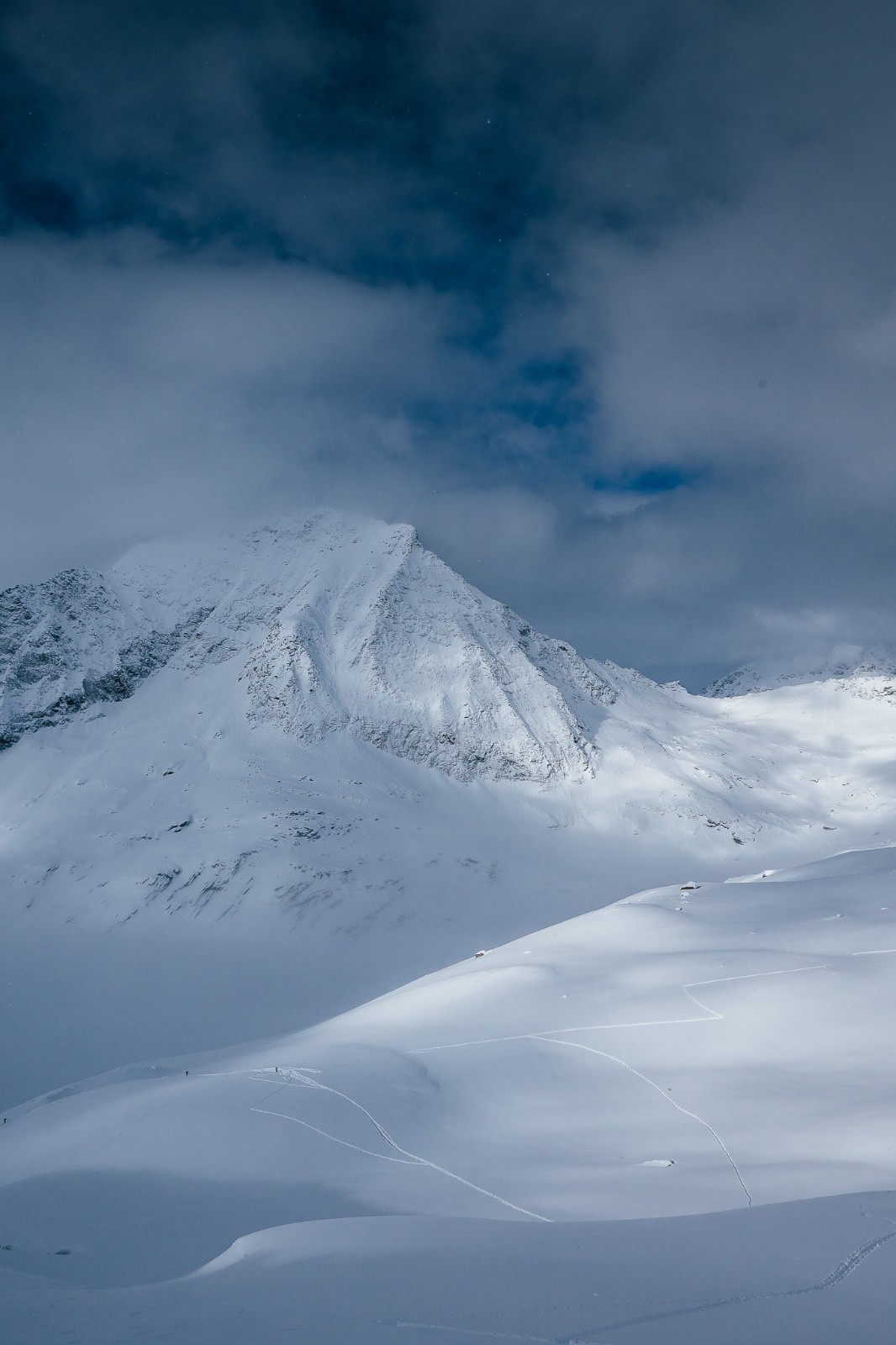 Il y aura de la peuf pour tout le monde.