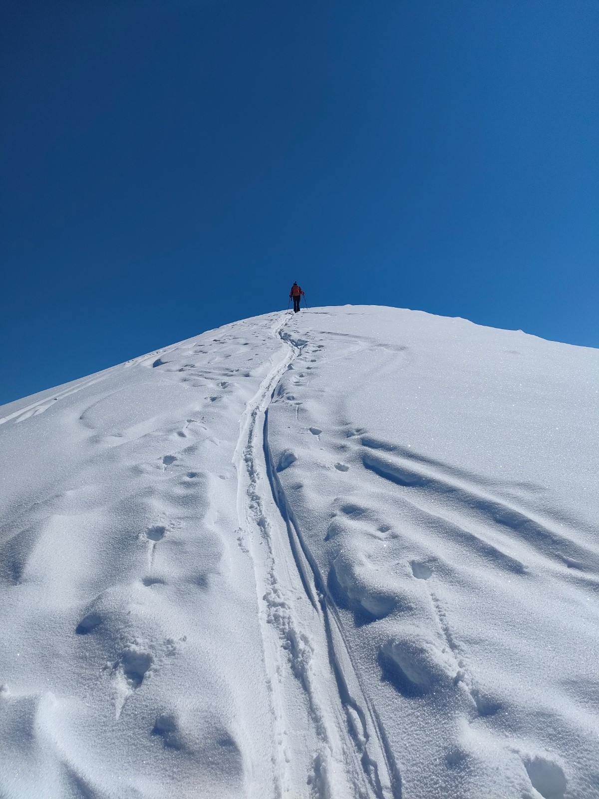 Jusqu'au ciel&nbsp;&nbsp;