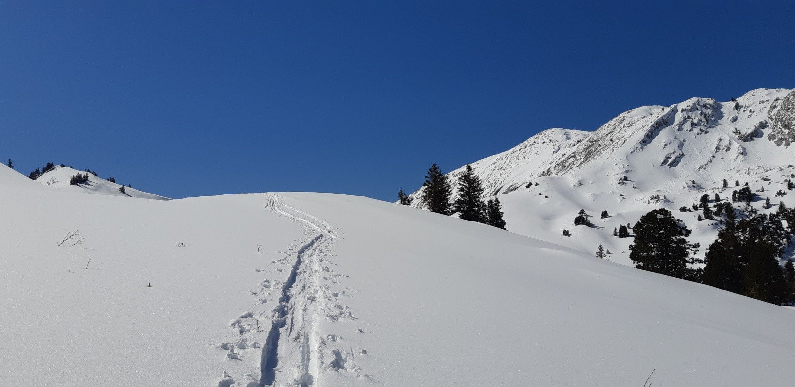 &nbsp;Traces de la veille , ça aide !