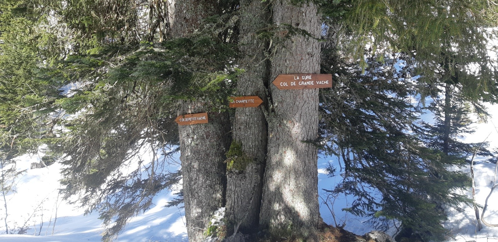 &nbsp;Sympa les nouvelles pancartes