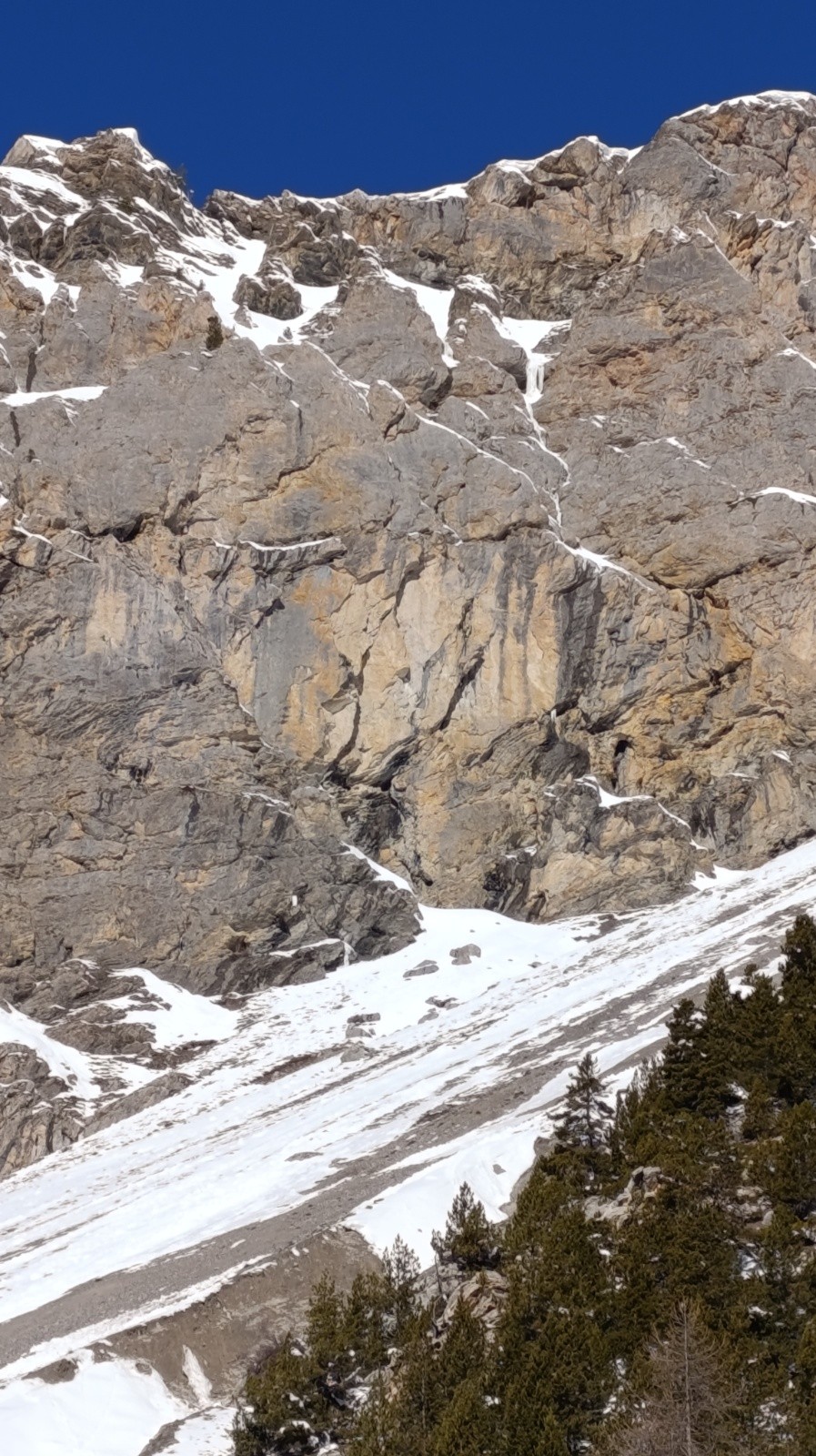 Sous Baudouis..&nbsp;