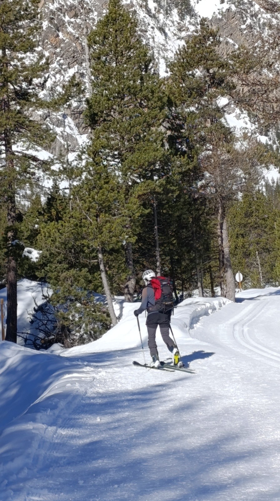 Montée dans les pinss