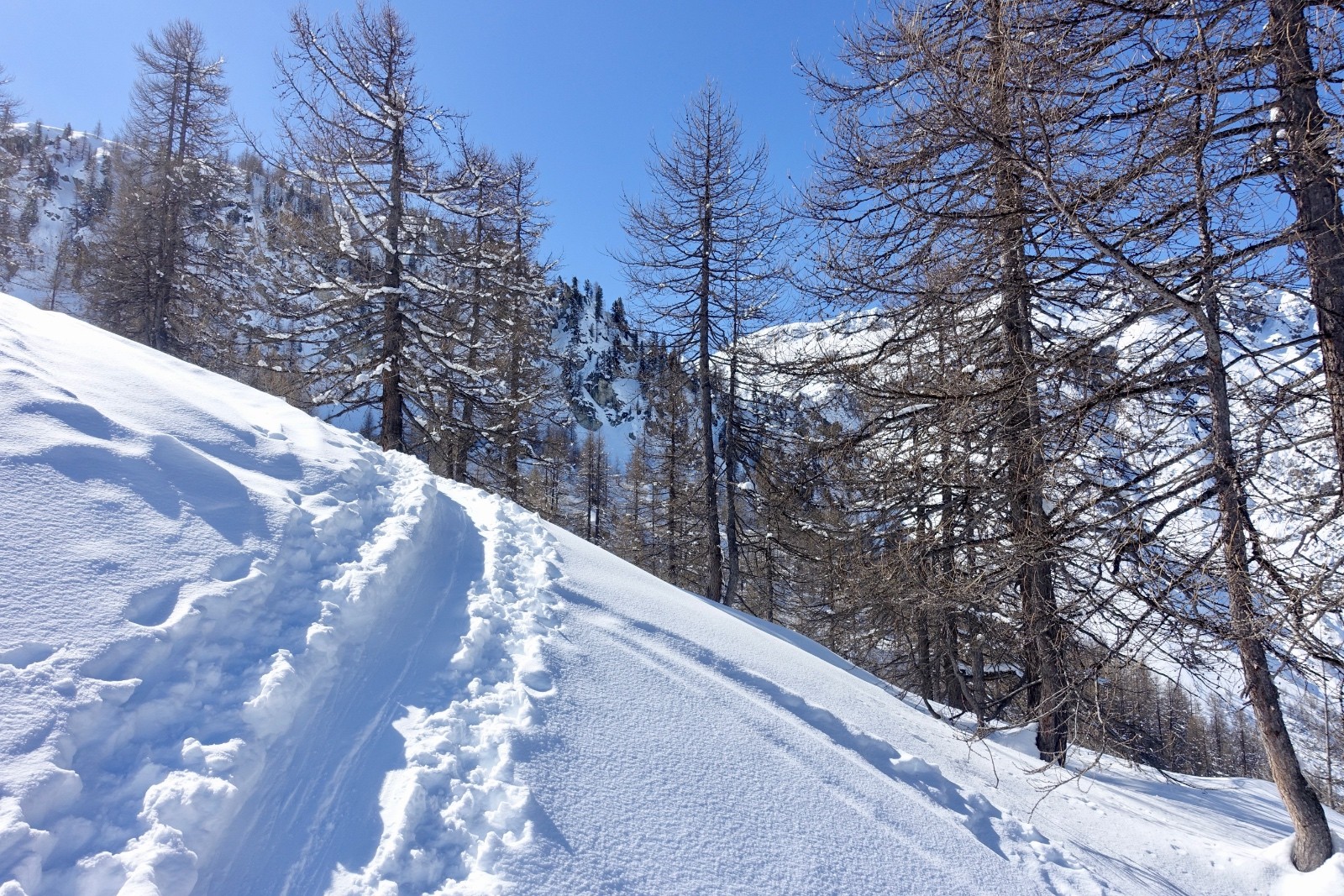 Splendide montée dans le mélezin