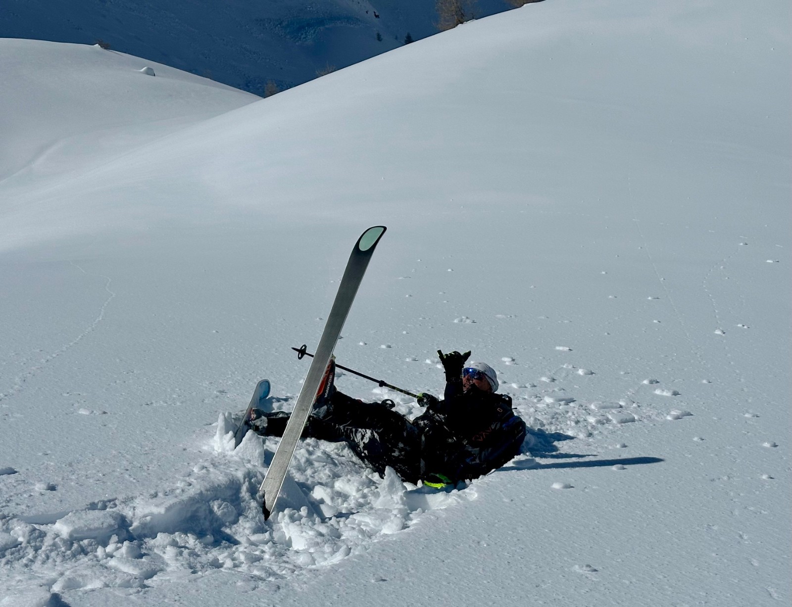 Quelques belles surprises croûteuses..