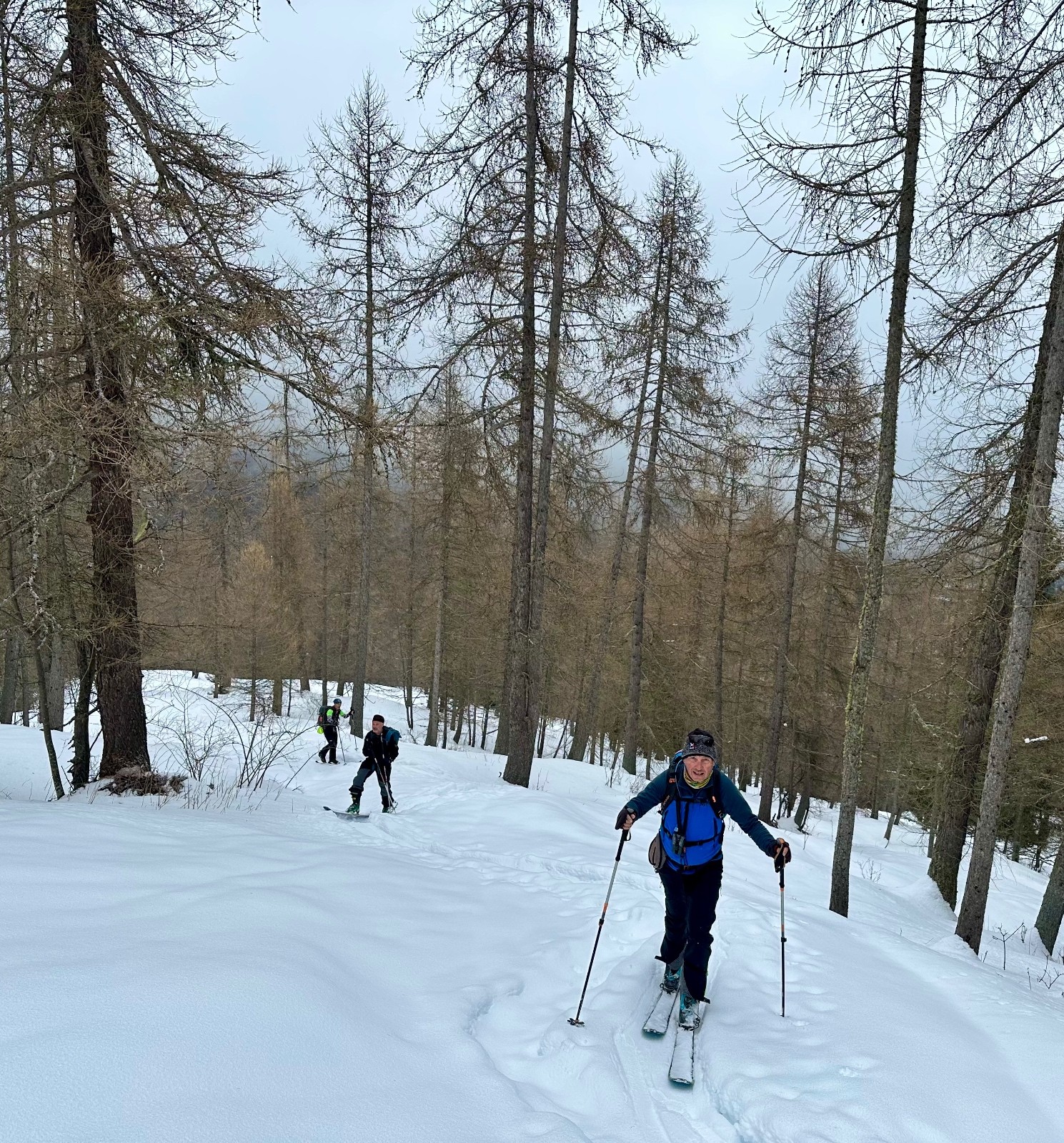 &nbsp;Dans le mélezin de l'Estelletta