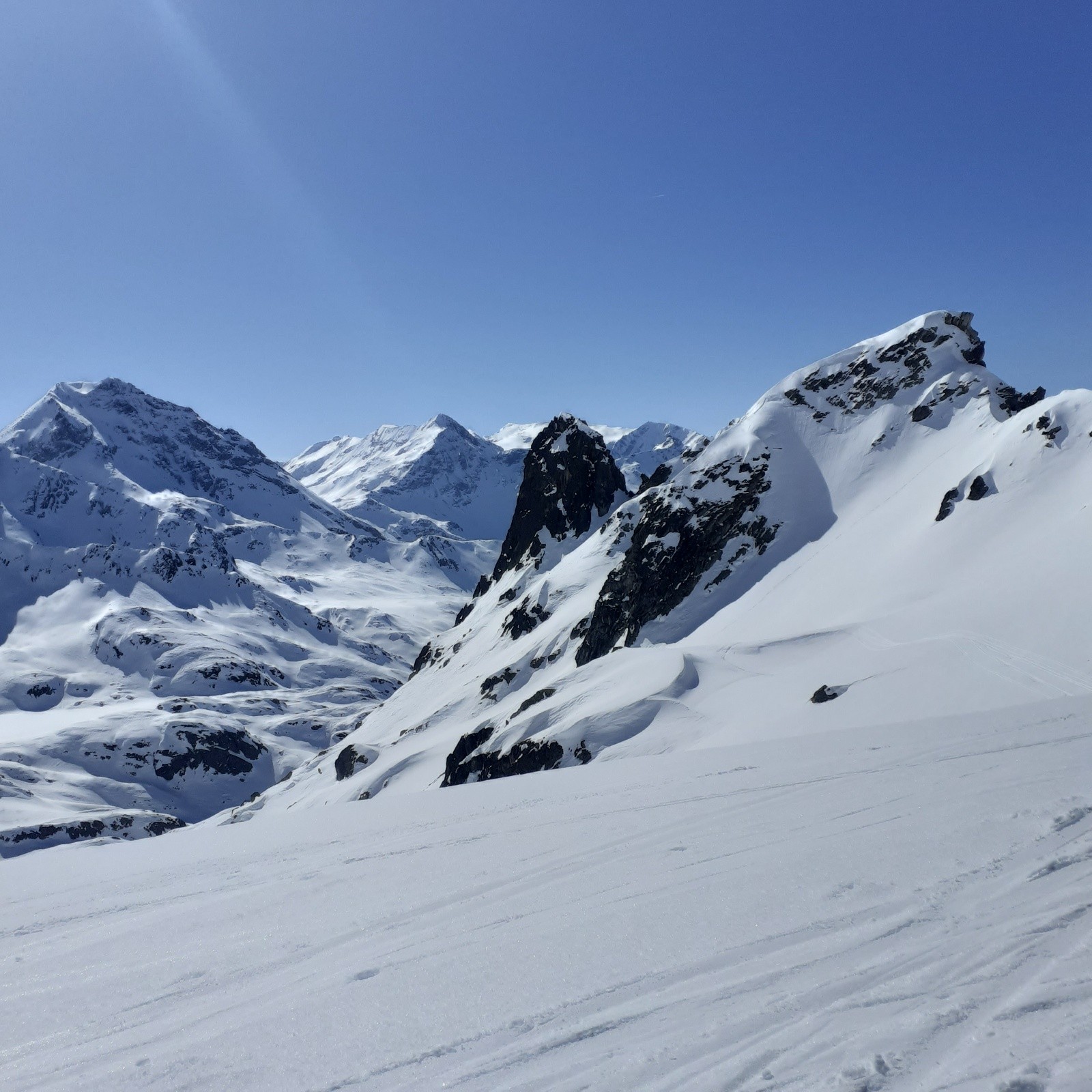 J3,en montant vers le col du Tachuy,&nbsp; une Oeuillasse !